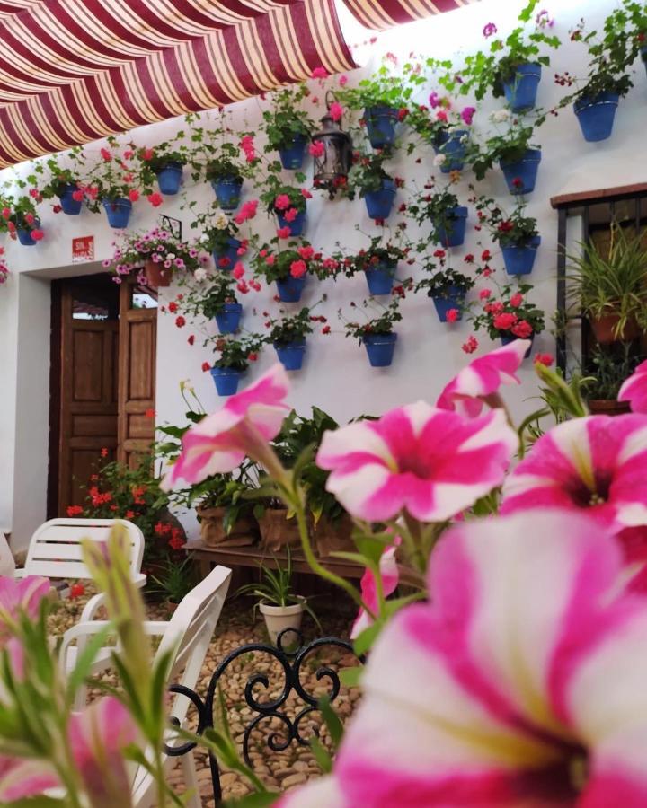 Casa Rural "Laplaza23" Herrera del Duque Dış mekan fotoğraf