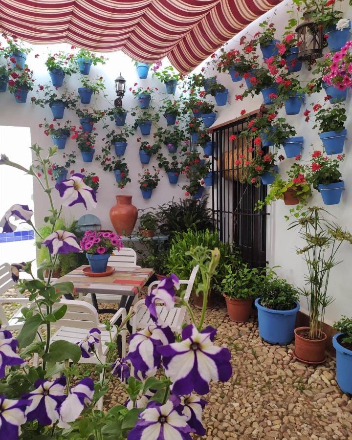 Casa Rural "Laplaza23" Herrera del Duque Dış mekan fotoğraf